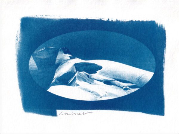 N°6