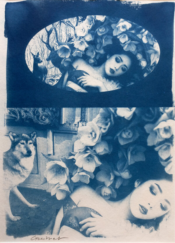 N°14